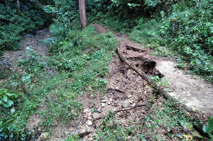 豪雨により被害にあった、それぞれのあじさい山の模様