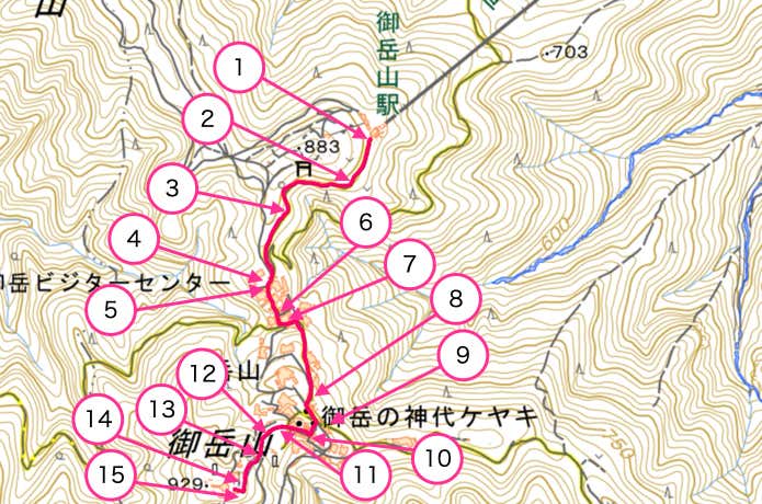 セクション①