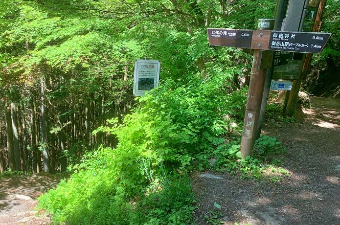 七代の滝への下り
