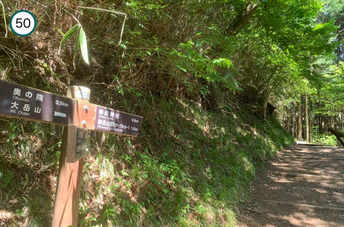 ゆるやかな登り返し