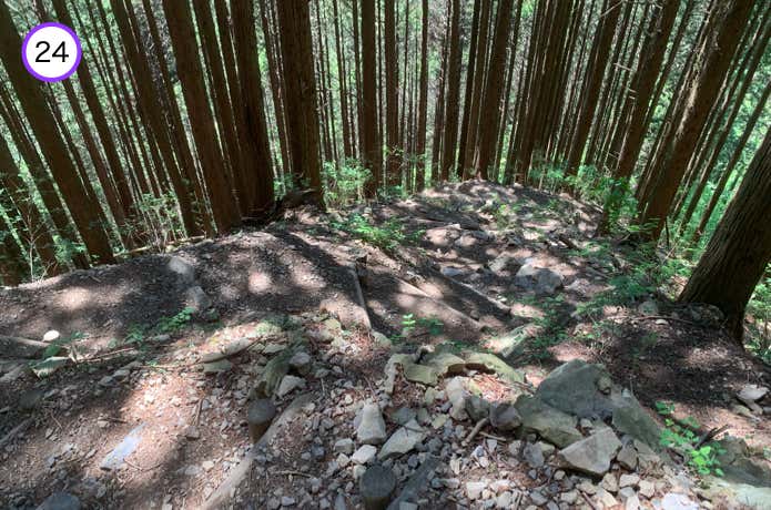 岩尾根の下り