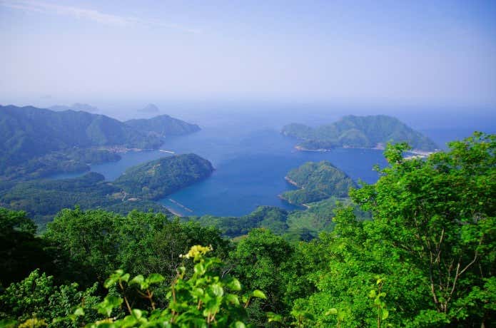 青葉山山頂から見下ろす内浦湾