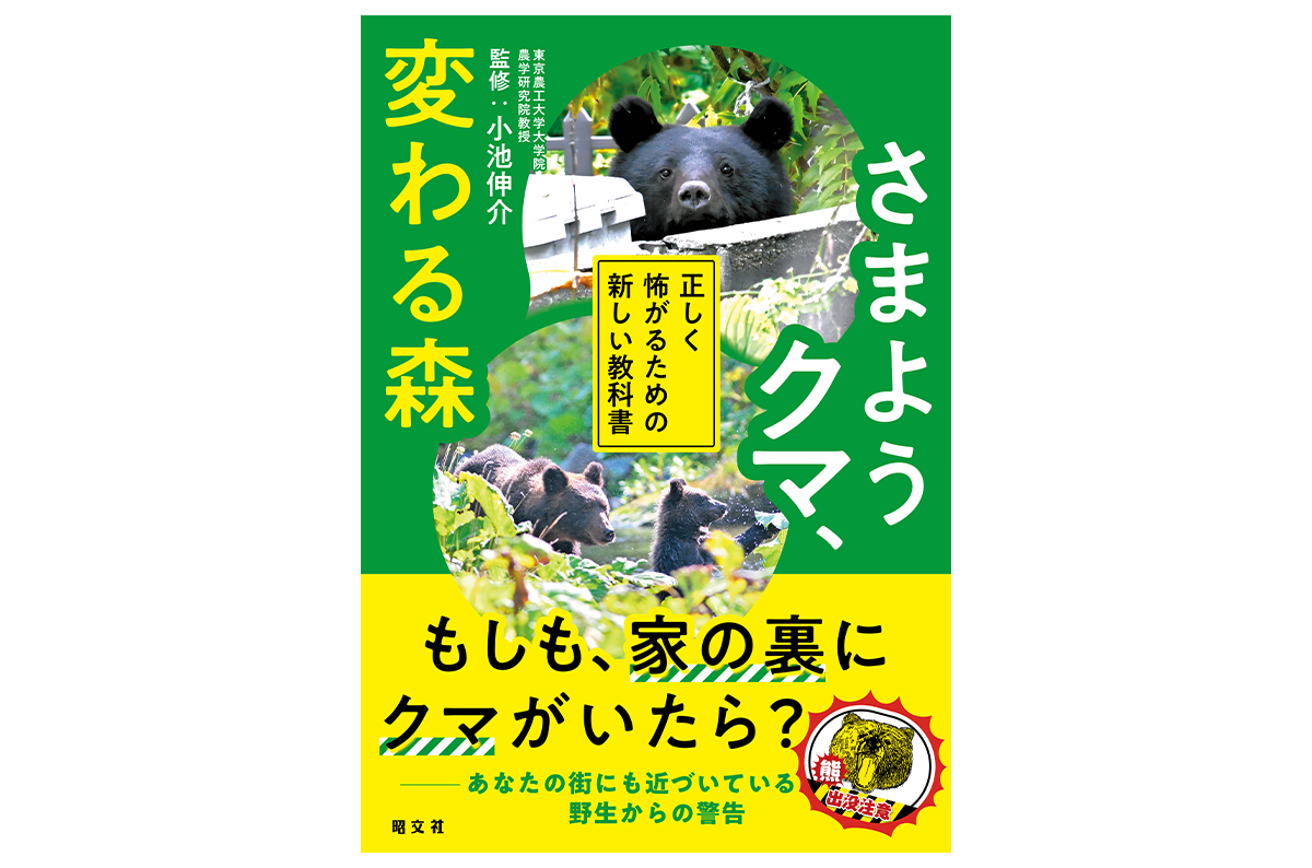 『さまようクマ、変わる森 正しく怖がるための新しい教科書』