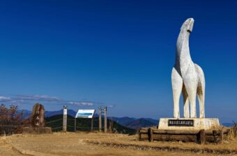【事前予約制】藤野駅〜陣馬山方面のアクセス維持へ。ハイカー向け登山バスが実証運行をスタート