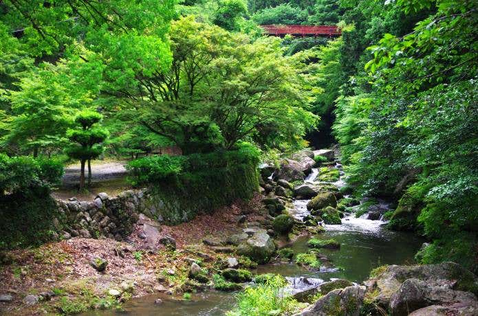 渓流に沿って散策路が整備されている王滝渓谷