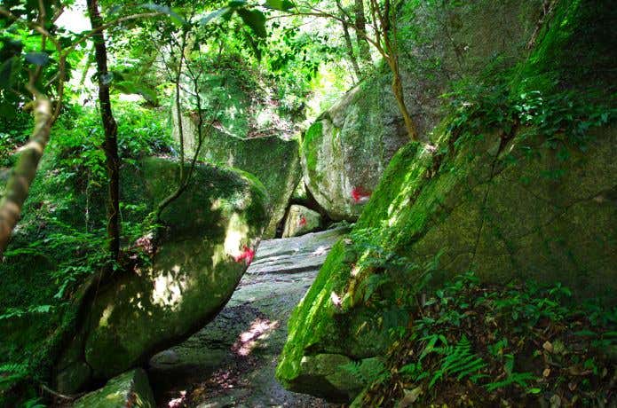 まるで巨岩の迷宮