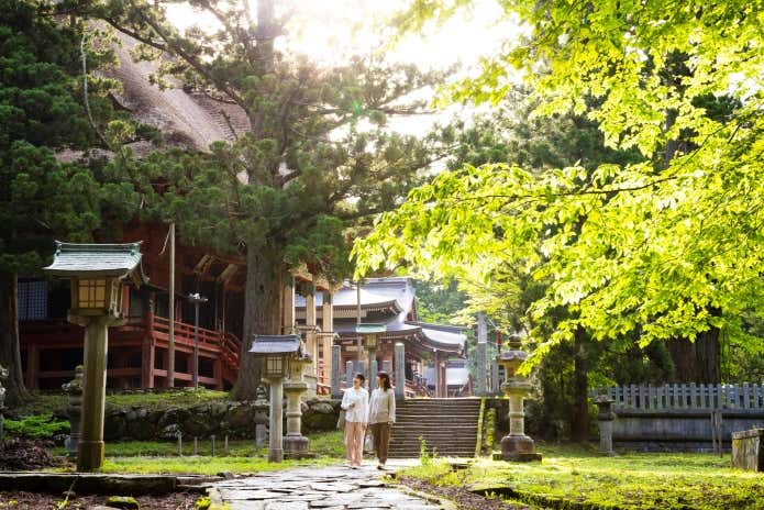東の奥参りとして知られる出羽三山神社。早朝の静寂と木漏れ日に包まれる羽黒山山頂は、神聖な空気に満ちています。