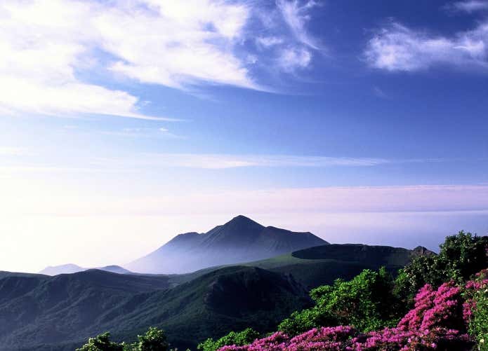 花だけじゃない。温泉や自然も楽しめる霧島エリア