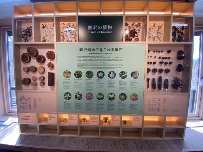 鹿沢インフォメーションセンター