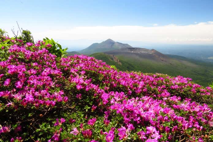 韓国岳から望む高千穂峰（イメージ）