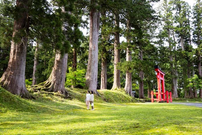 ミシュラン・グリーンガイド・ジャポン三つ星に選ばれた羽黒山の杉並木参道。樹齢数百年の杉並木と朱色の鳥居が、神秘的な空間を演出します。
