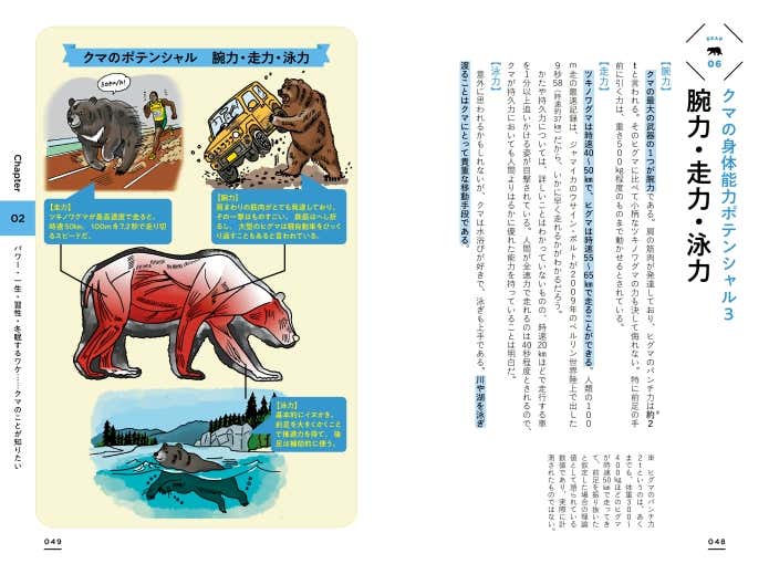「クマの身体能力」ページ例