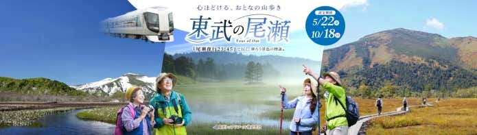 東武の尾瀬