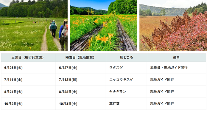 尾瀬　現地ガイドツアー