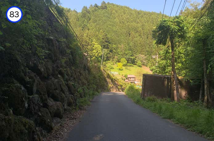 林道を下る
