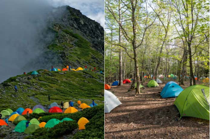 稜線のテント場と樹林帯のテント場
