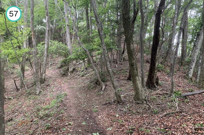 中ノ岩山の巻道