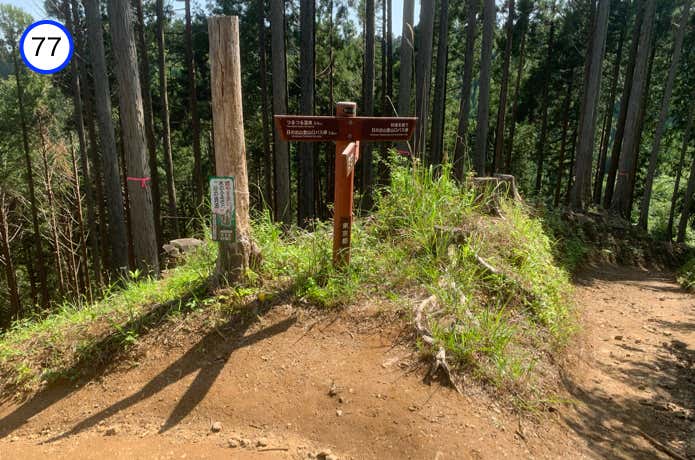 ふたたび登山道へ