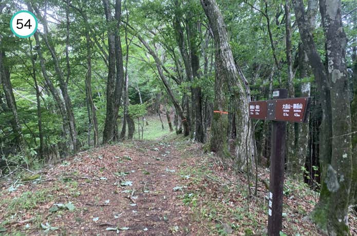 小ピークを越える