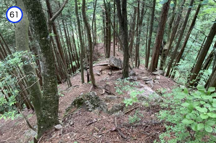 鋸山からの下り