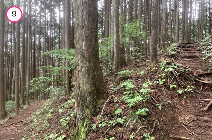 ジグザグの登り