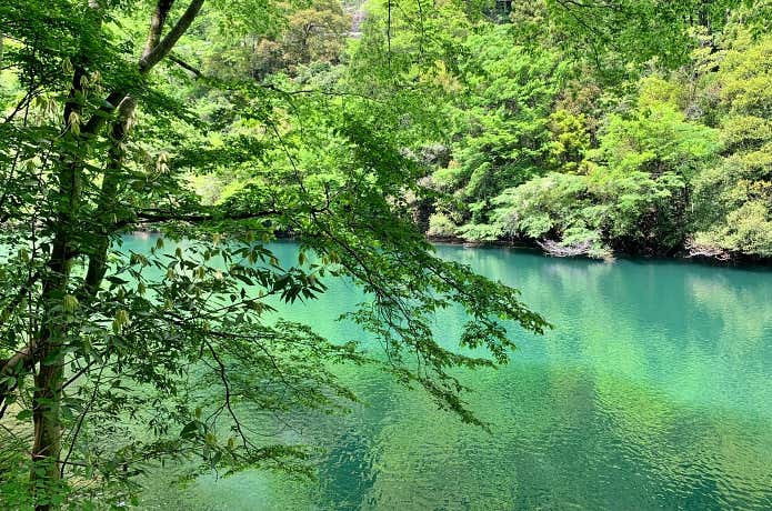 白丸湖の神秘的な水面