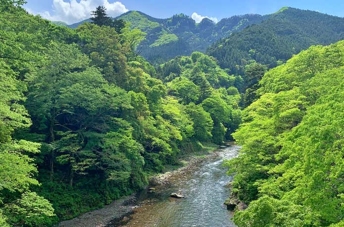 多摩川の清流