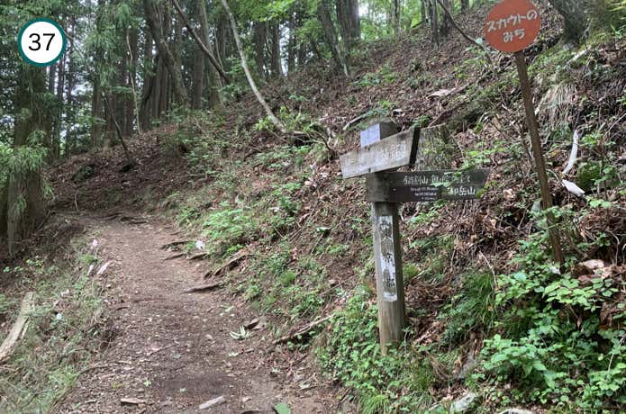 鍋割山からの稜線が合流