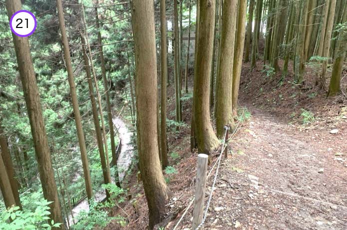 参道と合流