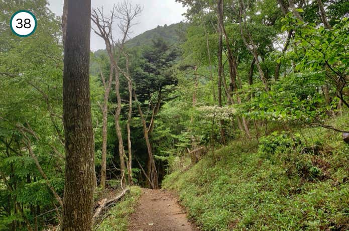 大岳山の山頂