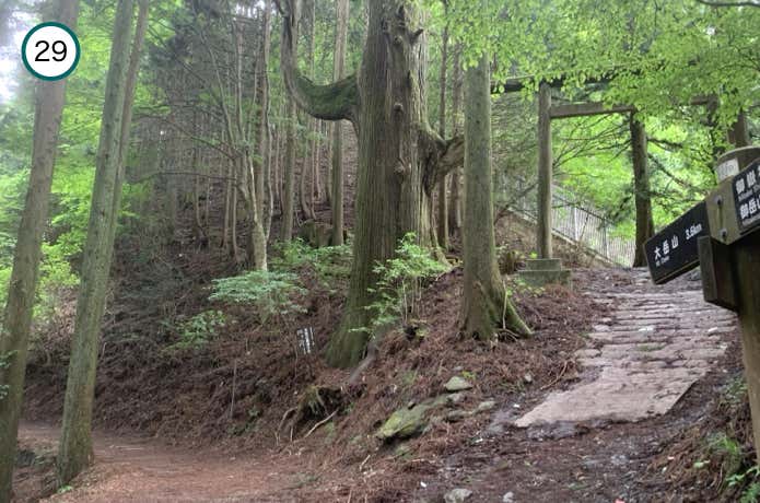 奥の院との分岐