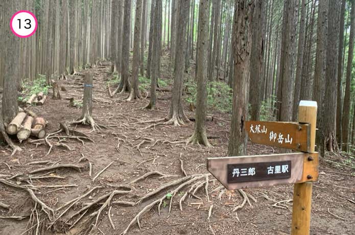 稜線へ出る