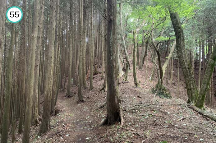 トバノ岩山の巻道