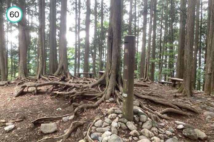 鋸山山頂