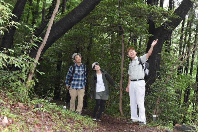 「ハイキングのまち」越生町