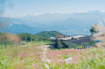 白馬五竜高山植物園