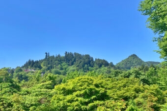 御岳山コースガイド｜パワースポットをじっくりと！御岳山見どころ満喫コース