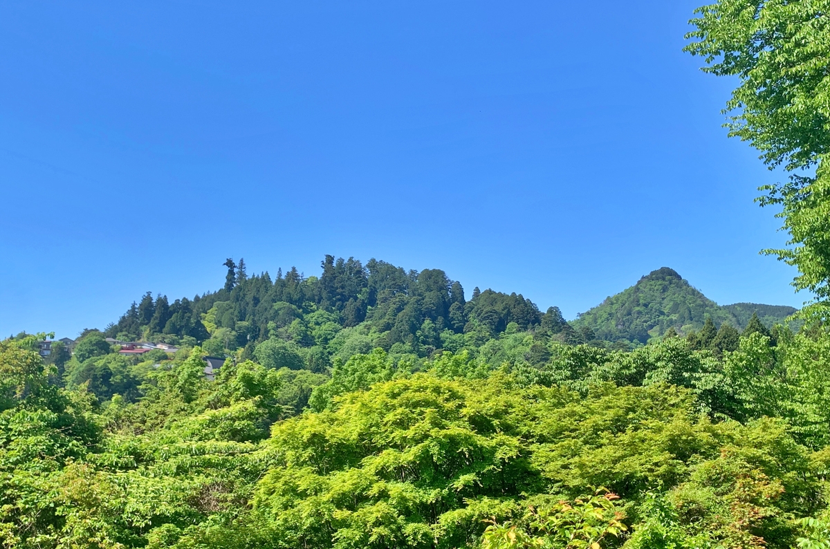 御岳山コースガイド｜パワースポットをじっくりと！御岳山見どころ満喫コース