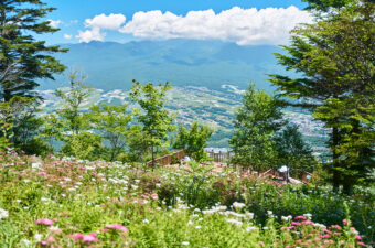 "花の避暑地"入笠山「涼風の入笠花暦2026」