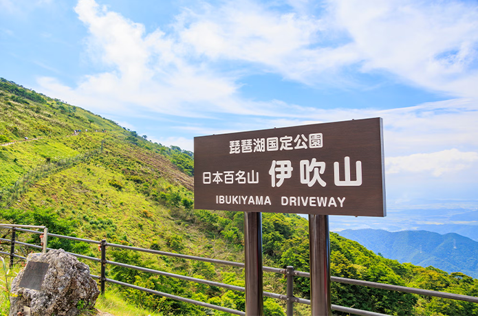 日本百名山「伊吹山登山バス」で９合目へ。らくらくハイキング！