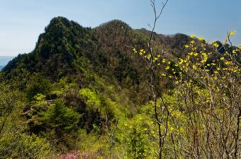 ツキノワグマによる人的被害防止のため、上落合橋登山口～両神山山頂が通行止めに