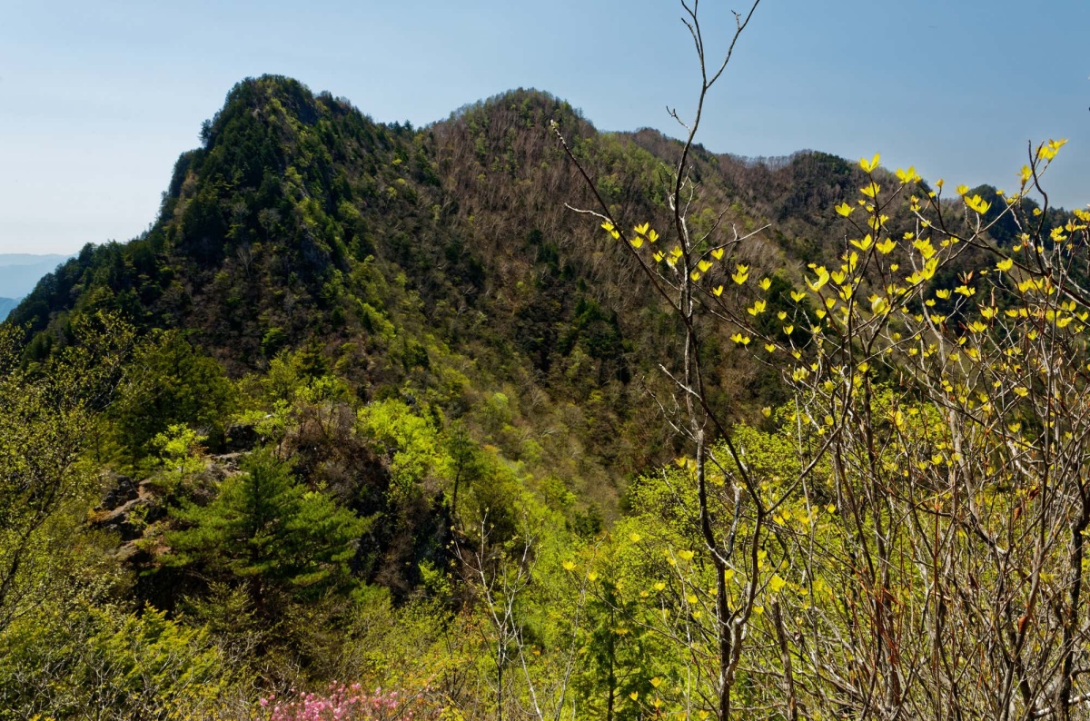 ツキノワグマによる人的被害防止のため、上落合橋登山口～両神山山頂が通行止めに