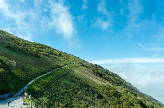 伊吹山ドライブウェイから山頂への道