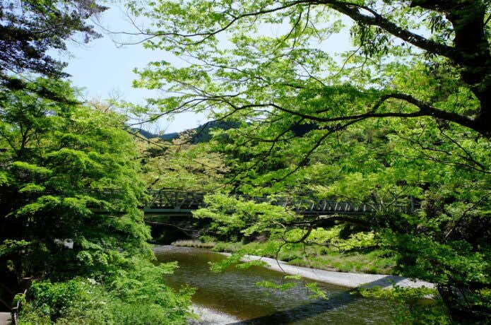 御岳渓谷にかかる楓橋