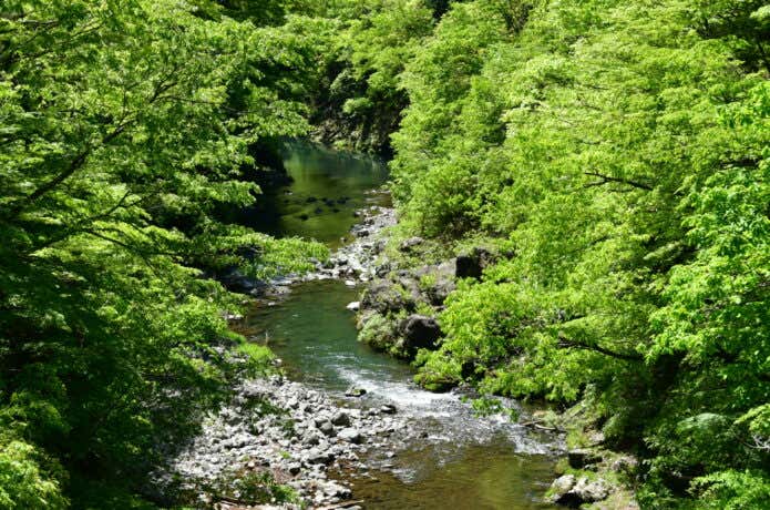 奥多摩むかし道・惣岳渓谷