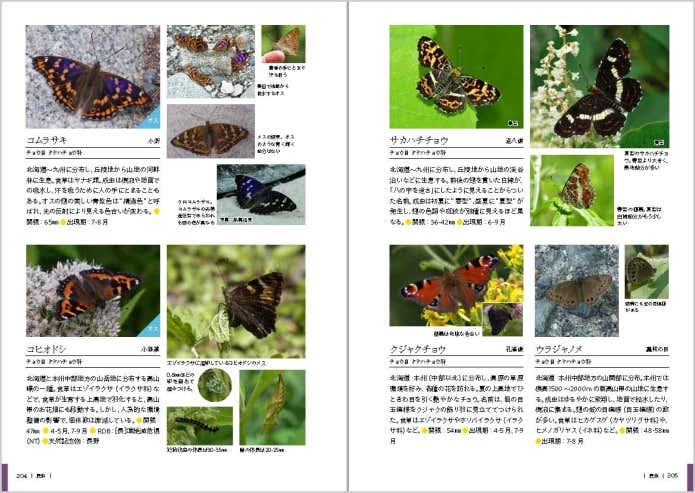 上高地いきもの図鑑