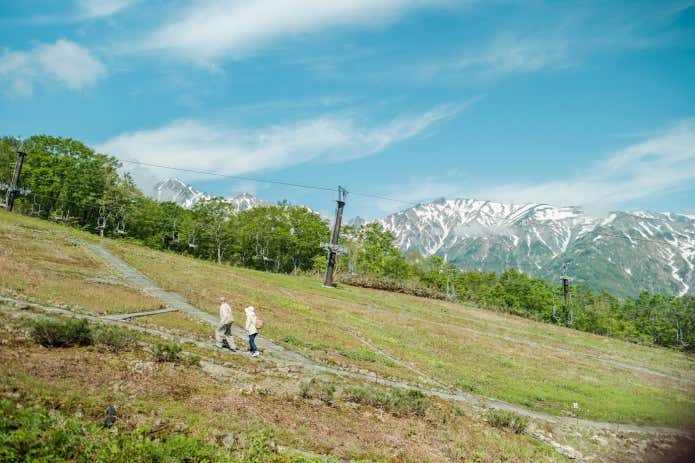 白馬五竜高山植物園を散策する人