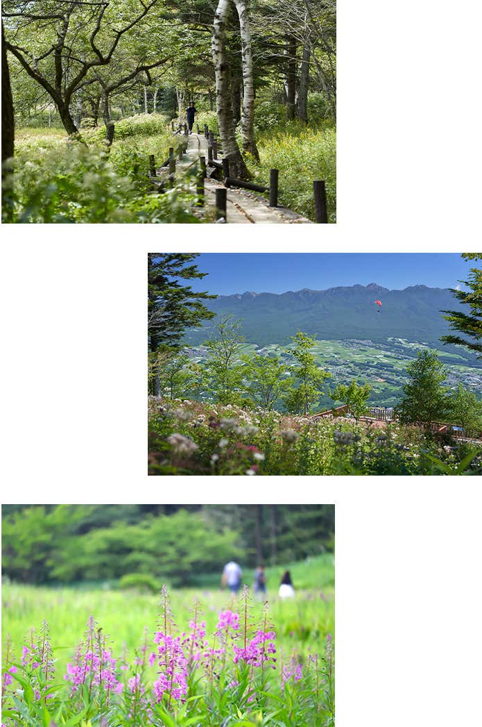 入笠山の様々な楽しみ方