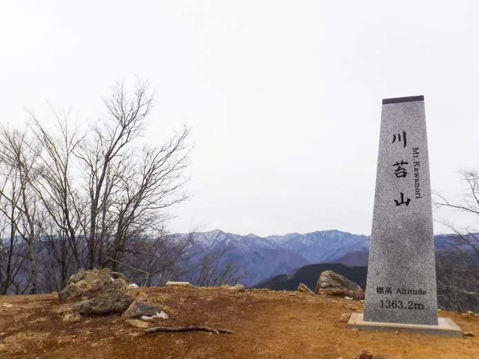 川苔山からの眺望