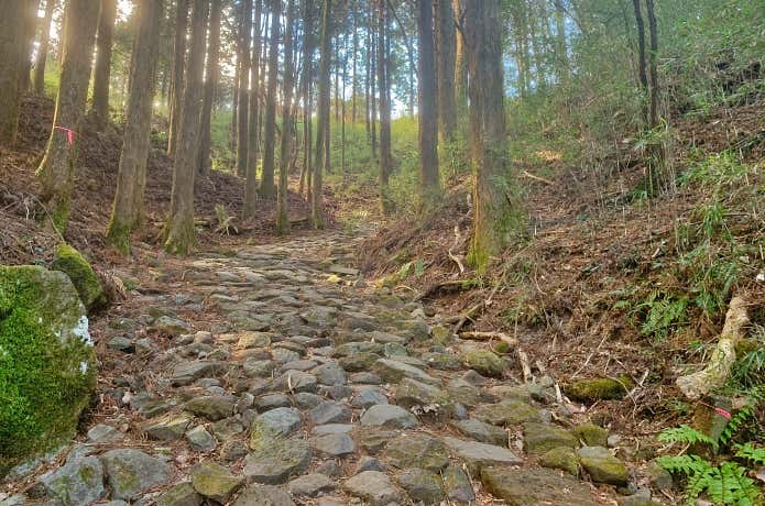 江戸時代の石畳が残る白水坂